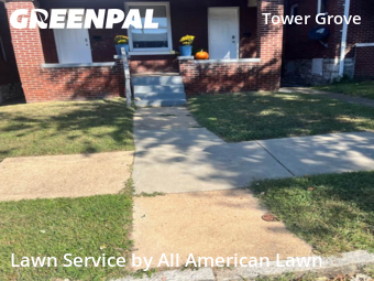Lawn Cut nearby St. Louis, MO, 