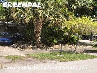 Lawn Cut nearby Cutler Bay, FL, 