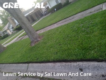 Yard Mowing nearby Gary, IN, 