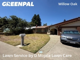 Lawn mowing work completed in Citrus Heights, CA