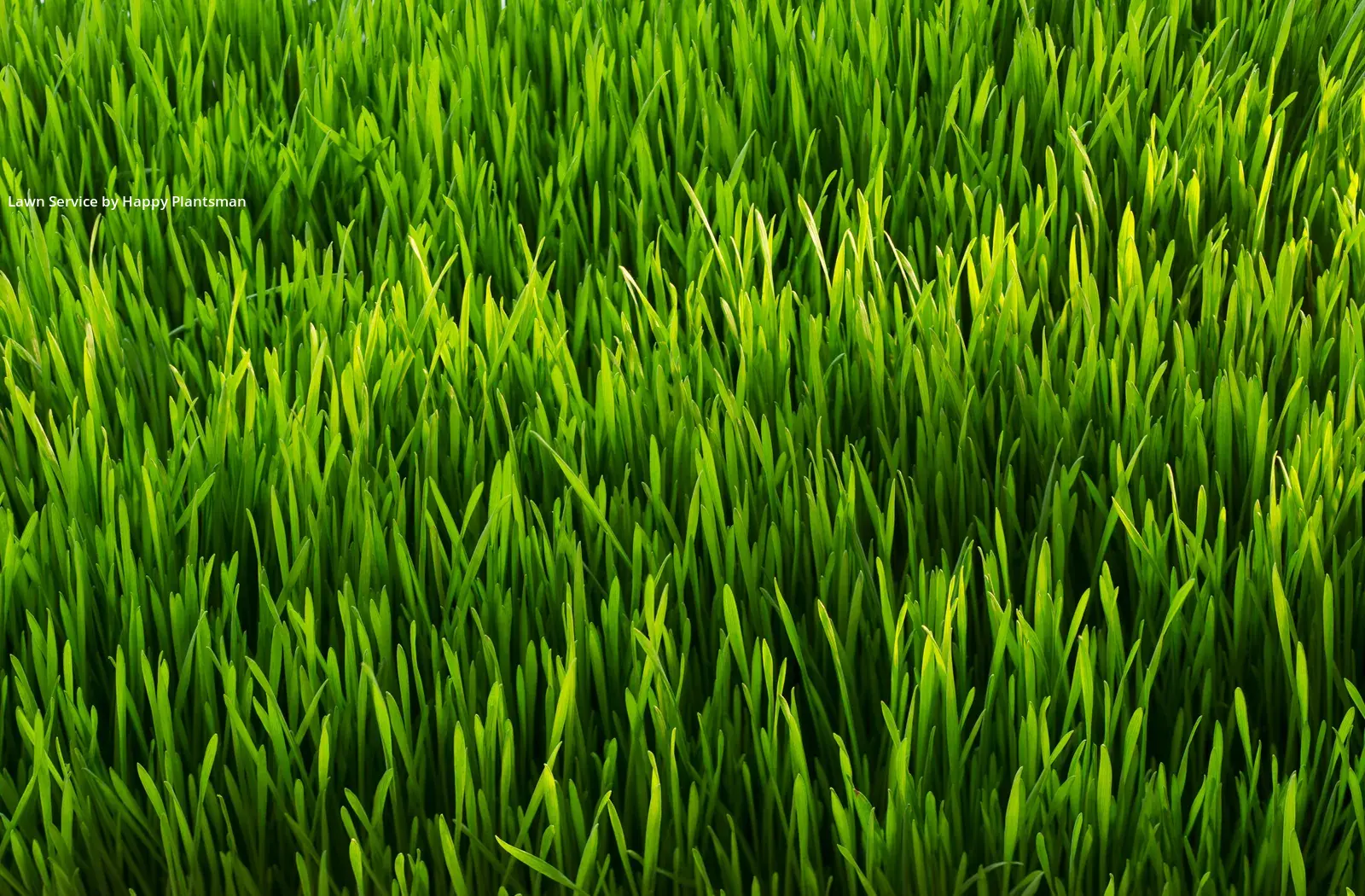 Garden Trimming in Beavercreek, 45430, Lawn Maintenance by Happy Plantsman, work completed in Nov , 2025