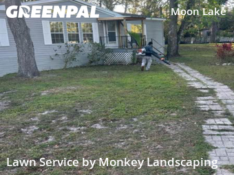 Grass Cutting nearby New Port Richey, FL, 