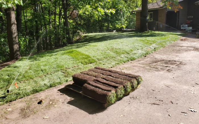 Work Image 4