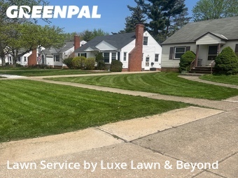 Yard Mowing nearby Mayfield Heights, OH, 
