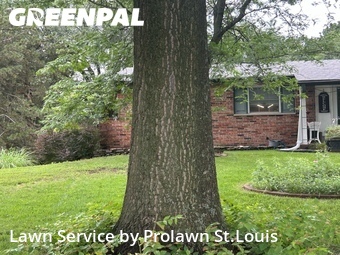 Lawn Cut nearby St. Louis, MO, 