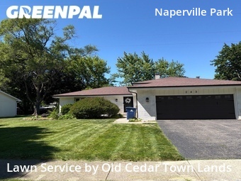 Grass Cut nearby Naperville, IL, 