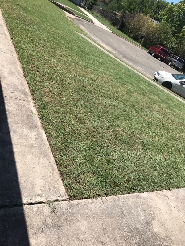 Gregg Landscaping Lawn Care Services in Killeen, TX