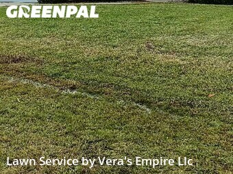 Lawn Care Service nearby Palm Coast, FL, 