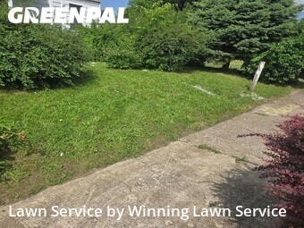 Lawn Mowing nearby East St. Louis, MO, 
