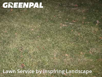 Yard Management in Parker, 80138, Grass Care by Inspiring Landscape, work completed in Nov , 2025