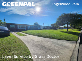 Lawn Cut nearby Orlando, FL, 