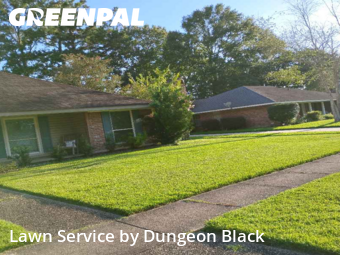 Grass Cut nearby Baton Rouge, LA, 