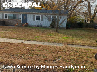 Grass Care in Dover, 19904, Turf Services by Moores Handyman, work completed in Dec , 2025