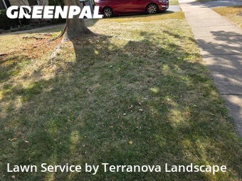 Commercial Landscaping In Montgomery,60538,Landscaping Services by Terranova Landscape, work completed in Oct , 2025