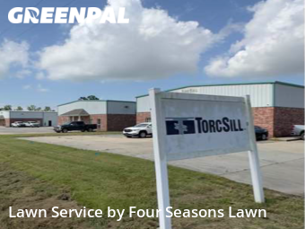 Lawn Cut nearby Gonzales, LA, 