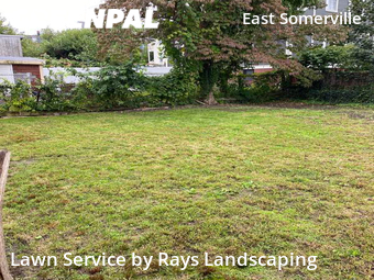 Yard Cutting nearby Somerville, MA, 