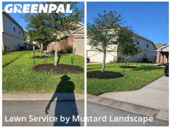 Lawn Cut nearby Conroe, TX, 