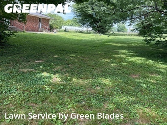 Yard Cutting nearby Bowling Green, TN, 