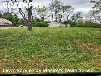Lawn Cutting nearby Clarksville, TN, 