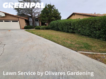 Landscapers In Lancaster,93536,Landscaping Renovation by Olivares Gardening , work completed in Nov , 2025