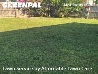 Lawn Carein Converse,78109,Lawn Service by Affordable Lawn Care, work completed in Jun , 2026