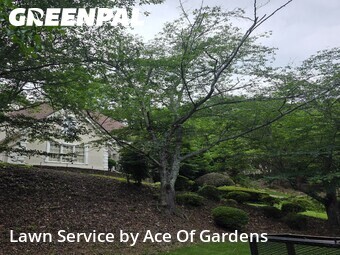Lawn Cut nearby Sandy Springs, GA, 
