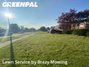 Grass Cut nearby Westland, MI, 