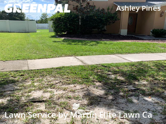 Lawn Mowing Service nearby Wesley Chapel, FL, 