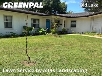 Lawn Mowing Service nearby Dallas, TX, 
