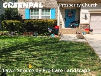 Grass Cut nearby Charlotte, NC, 