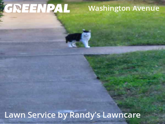 Lawn Maintenance nearby Houston, TX, 