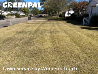 Backyard Mowing in Tuscaloosa, 35401, Yard Upkeep by Womens Touch, work completed in Nov , 2025