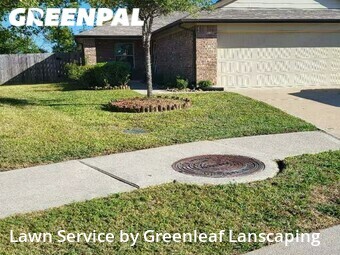 Lawn Cut nearby Houston, TX, 