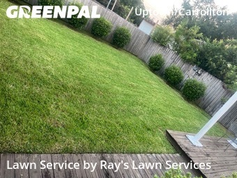 Grass Cut nearby New Orleans, LA, 