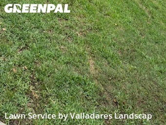 Lawn Mowin Pasadena,77504,Lawn Mowing by Valladares Landscap, work completed in Jun , 2026