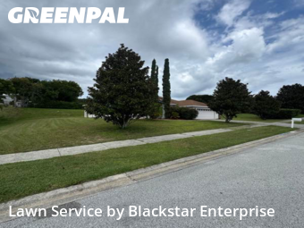 Lawn Cut nearby Clermont, FL, 