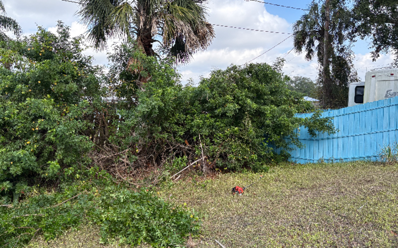 Work Image 1