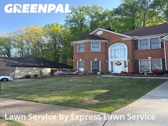 Grass Cutting nearby Dacula, GA, 