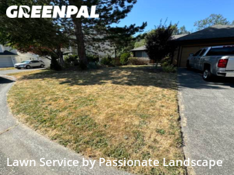 Lawn Mowing Service nearby Kent, WA, 