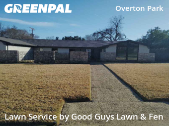 Grass Cut nearby Fort Worth, TX, 