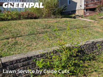 Lawn Mow nearby Pittsburgh, PA, 