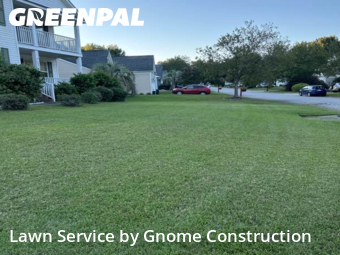 Grass Cutting nearby Lexington, SC, 