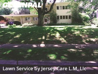 Lawn Mowing nearby Trenton, NJ, 