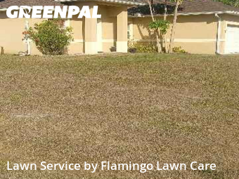 Yard Mowing in Fort Myers, 33967, Weekly Mowing by Flamingo Lawn Care, work completed in Dec , 2025
