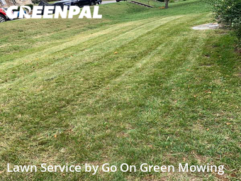 Lawn Cut nearby Roanoke, VA, 
