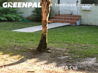 Grass Cutting nearby Miami, FL, 