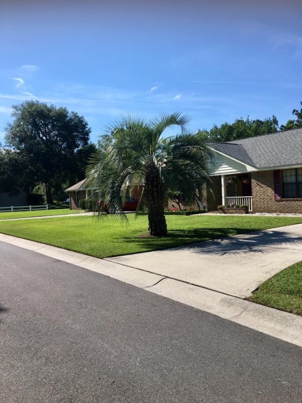 Lemmon’s Lawn Care Lawn Care Services in Summerville, SC