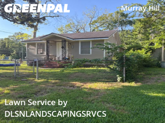 Grass Cut nearby Jacksonville, FL, 