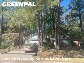 Grass Cutting nearby The Woodlands, TX, 