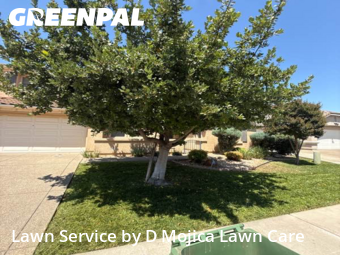 Work completed by reliable-lawn-care-service-in-Elk Grove-CA